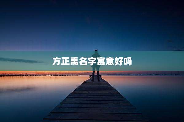 方正禹名字寓意好吗