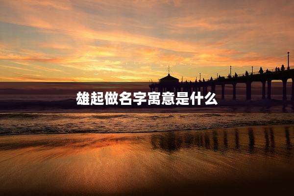 雄起做名字寓意是什么