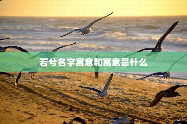 若兮名字寓意和寓意是什么