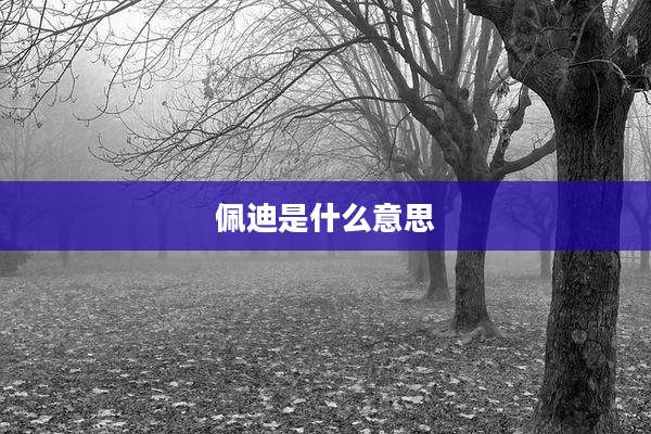 佩迪是什么意思