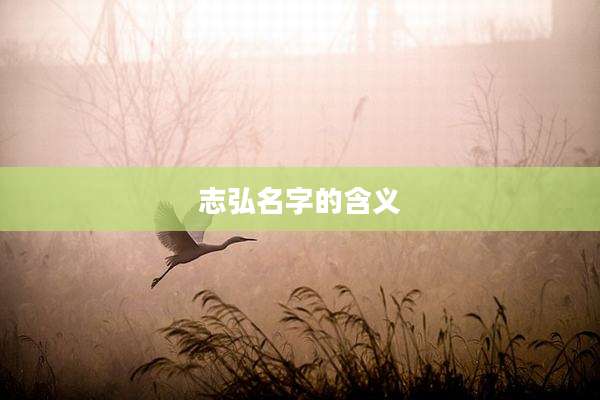 志弘名字的含义