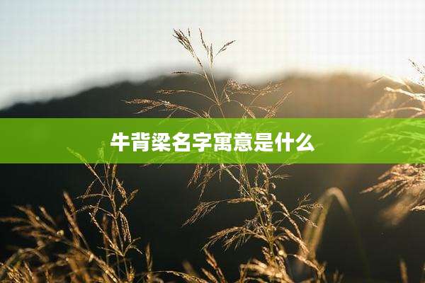 牛背梁名字寓意是什么