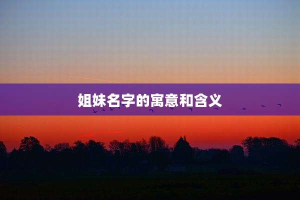姐妹名字的寓意和含义