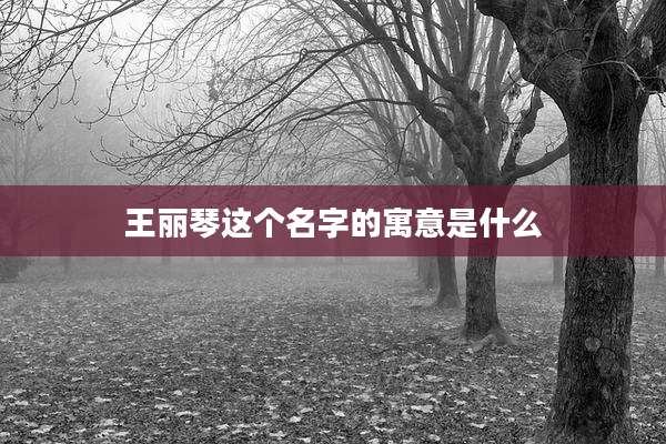 王丽琴这个名字的寓意是什么