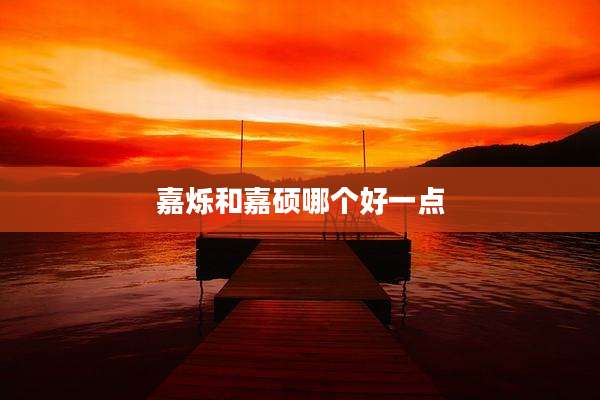 嘉烁和嘉硕哪个好一点