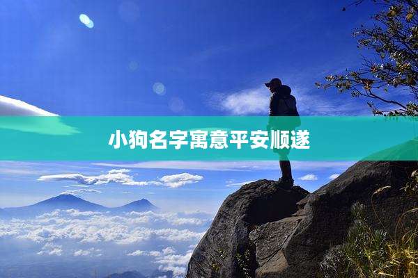 小狗名字寓意平安顺遂