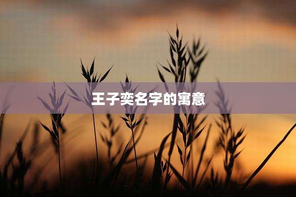 王子奕名字的寓意
