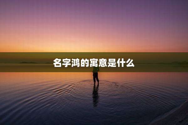 名字鸿的寓意是什么