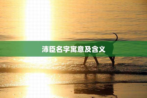 沛臣名字寓意及含义