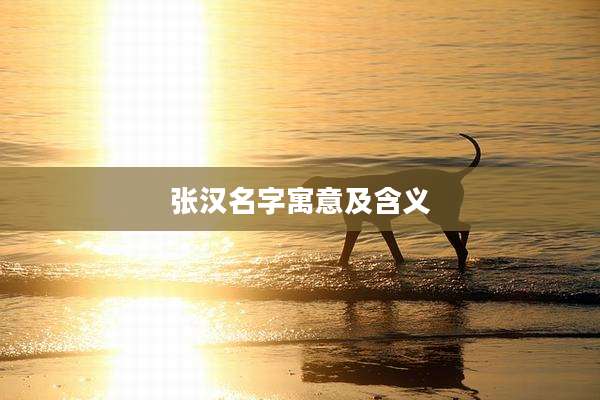 张汉名字寓意及含义