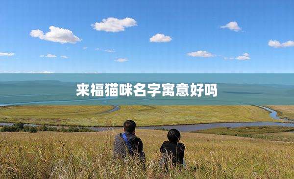 来福猫咪名字寓意好吗
