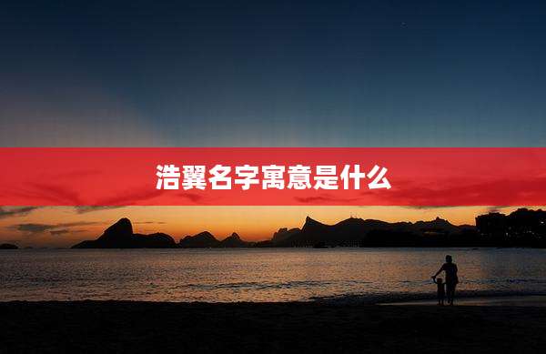 浩翼名字寓意是什么