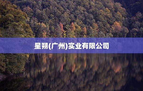 星朔(广州)实业有限公司