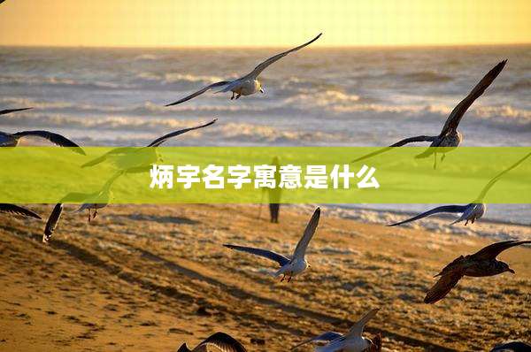 炳宇名字寓意是什么