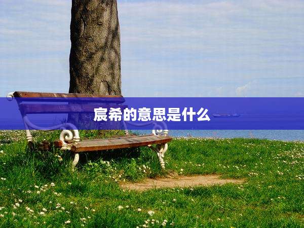 宸希的意思是什么