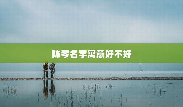陈琴名字寓意好不好
