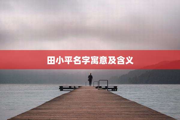 田小平名字寓意及含义