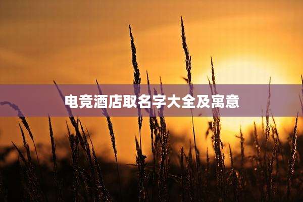 电竞酒店取名字大全及寓意