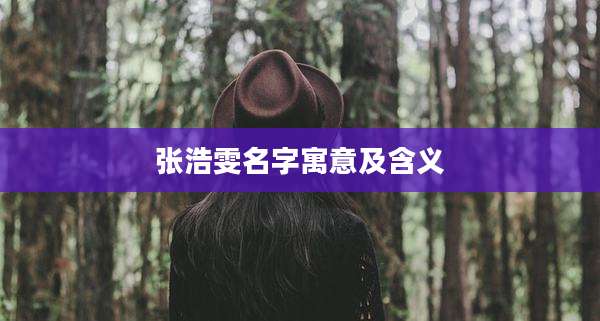 张浩雯名字寓意及含义