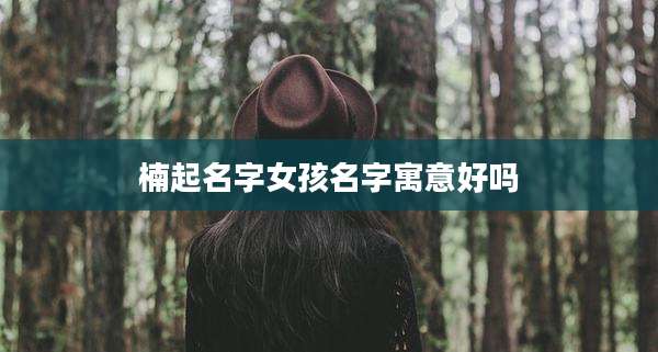 楠起名字女孩名字寓意好吗