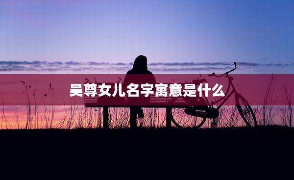 吴尊女儿名字寓意是什么