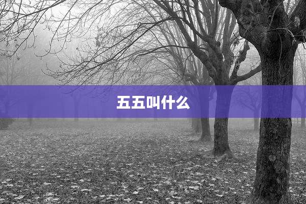 五五叫什么