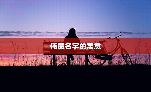 伟宸名字的寓意