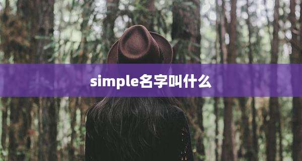 simple名字叫什么