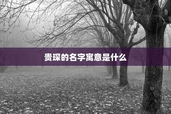 贵琛的名字寓意是什么