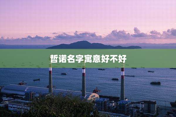 哲诺名字寓意好不好