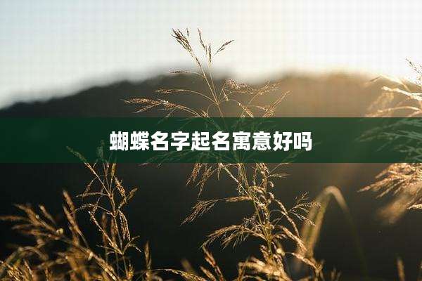 蝴蝶名字起名寓意好吗