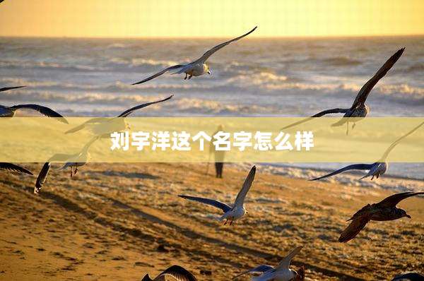 刘宇洋这个名字怎么样