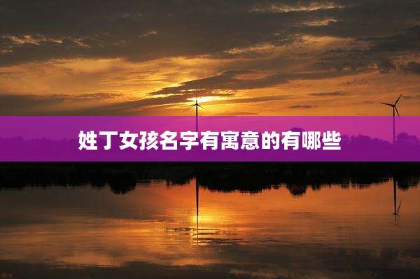 姓丁女孩名字有寓意的有哪些