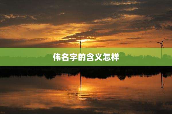 伟名字的含义怎样