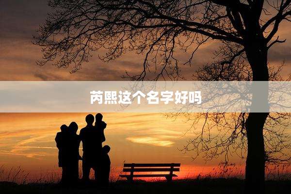芮熙这个名字好吗