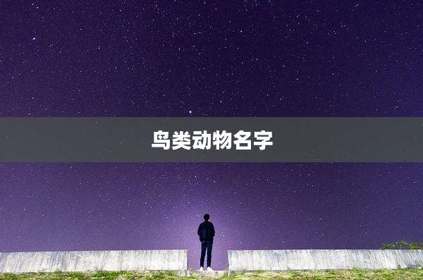 鸟类动物名字