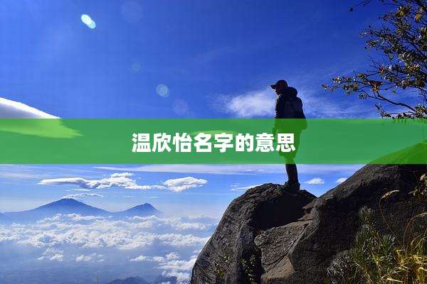 温欣怡名字的意思