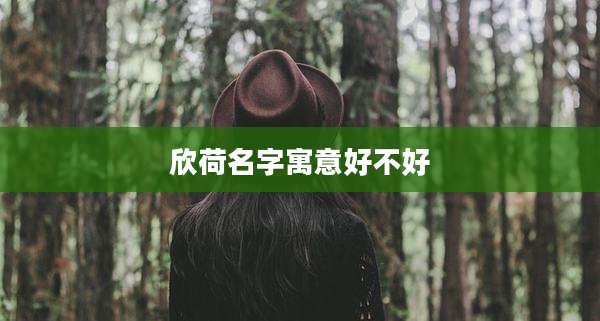 欣荷名字寓意好不好