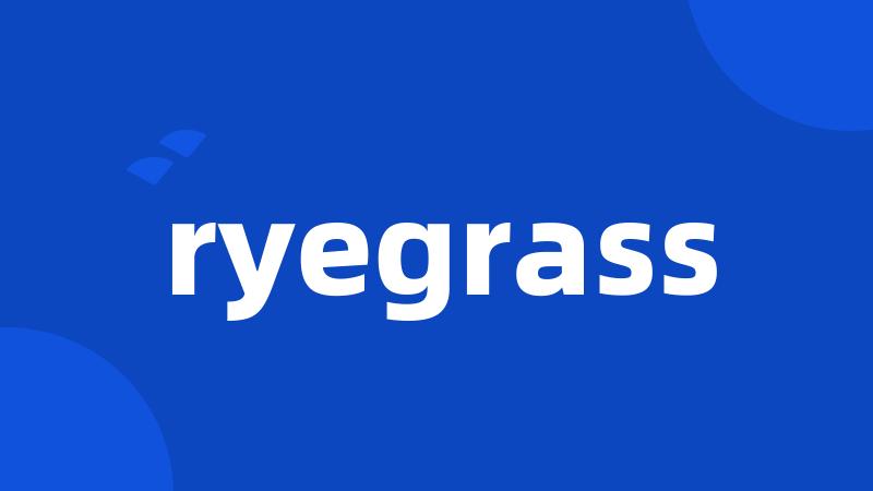 ryegrass