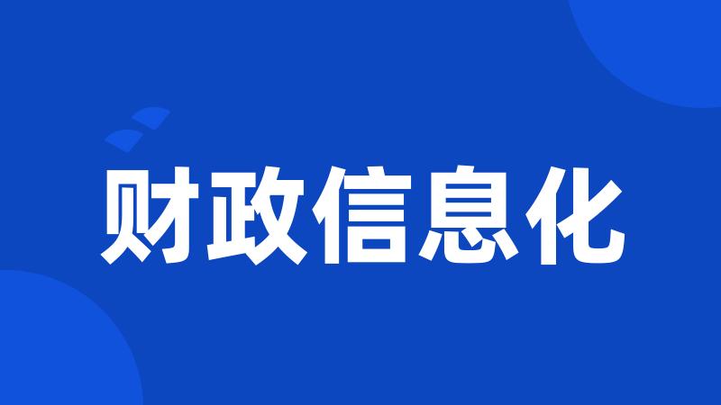 财政信息化