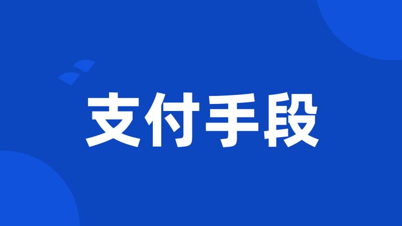 支付手段