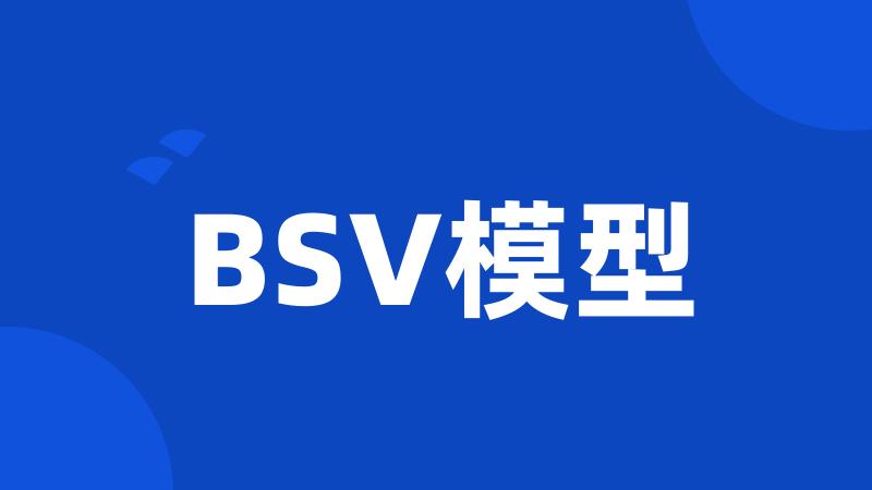 BSV模型