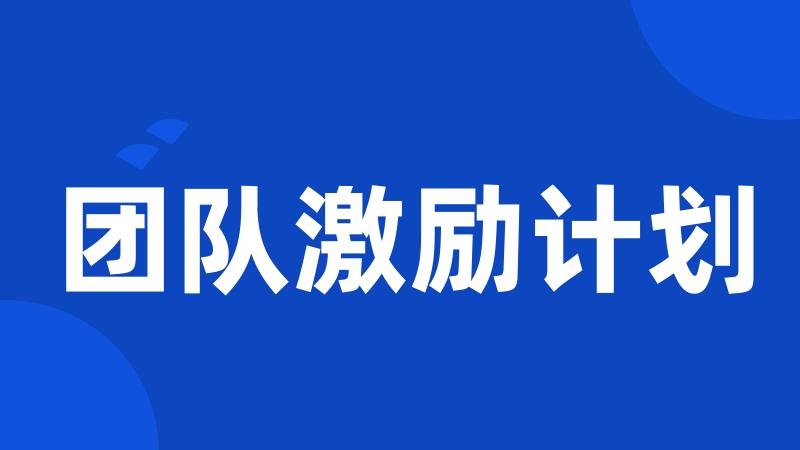 团队激励计划