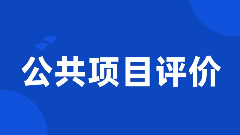 公共项目评价