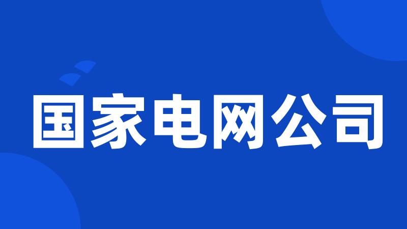 国家电网公司