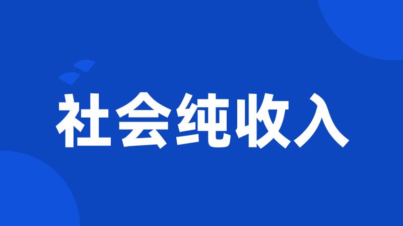 社会纯收入