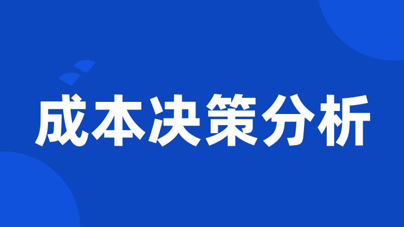 成本决策分析