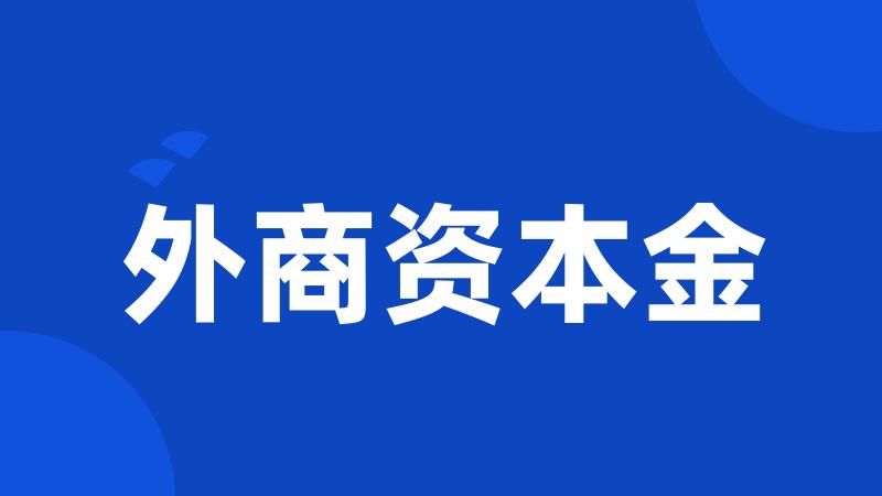 外商资本金