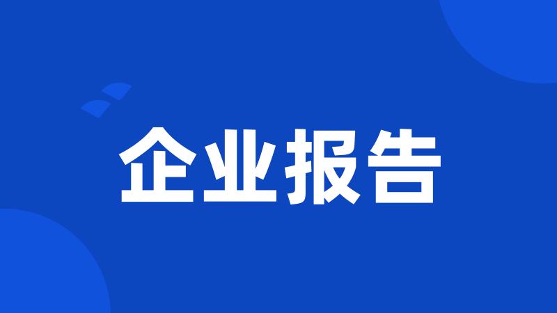 企业报告