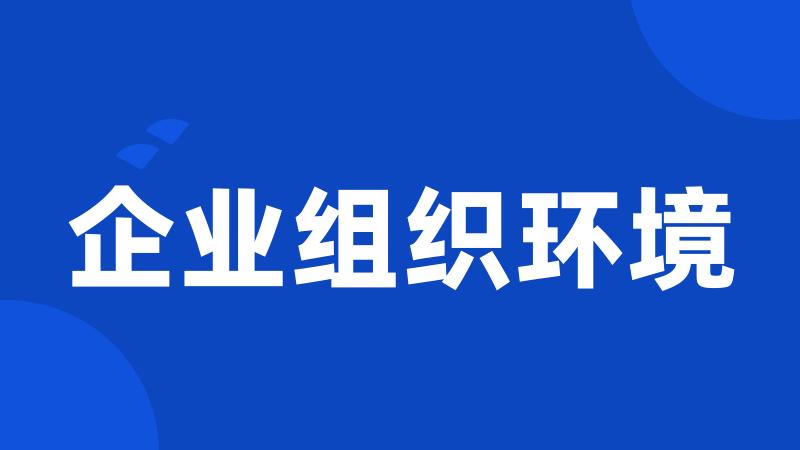 企业组织环境